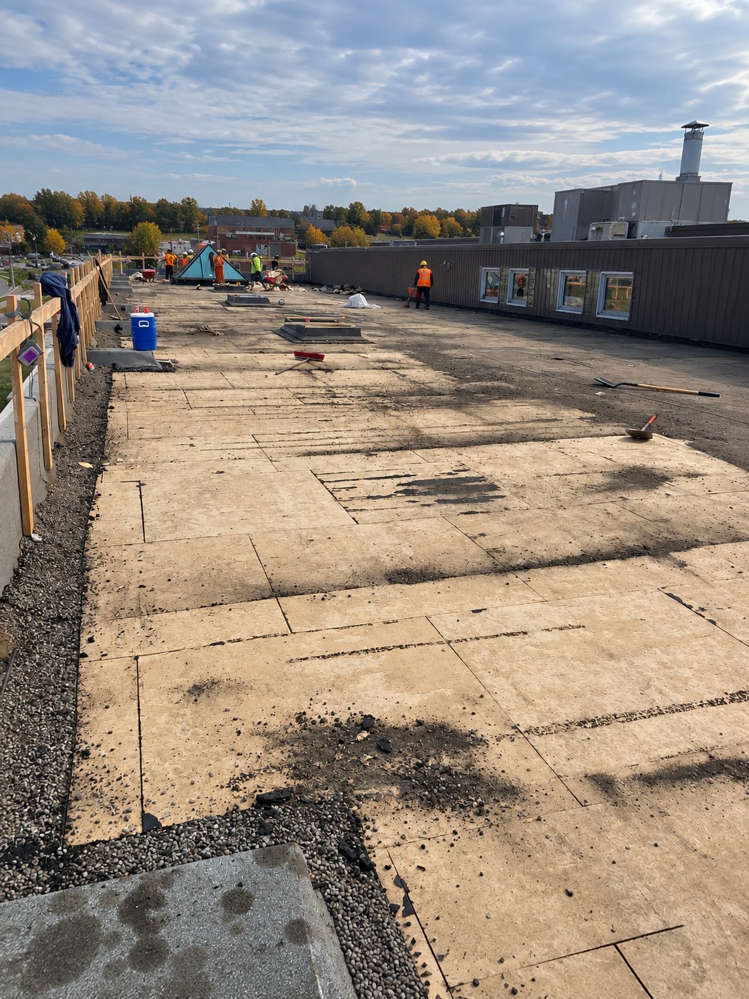 Roof assembly removal